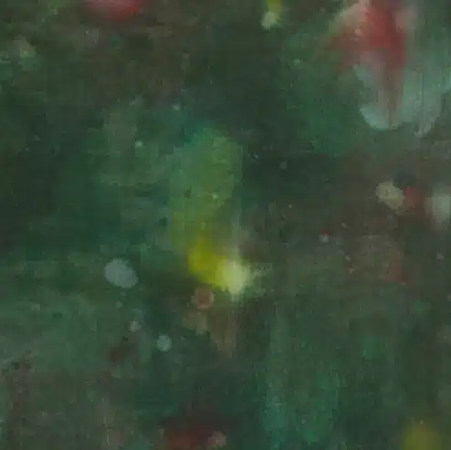 forest detail